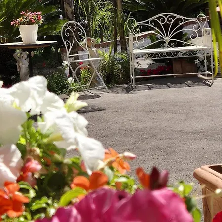 La Vigna Del Vento Bed & Breakfast *